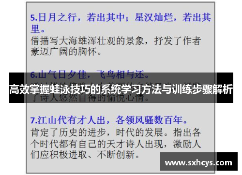 高效掌握蛙泳技巧的系统学习方法与训练步骤解析